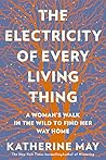 The Electricity o...