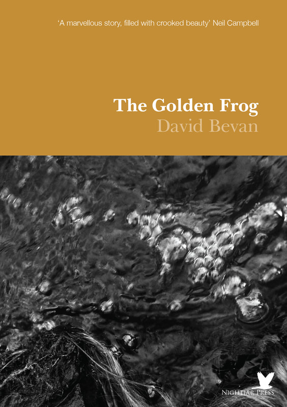 The Golden Frog