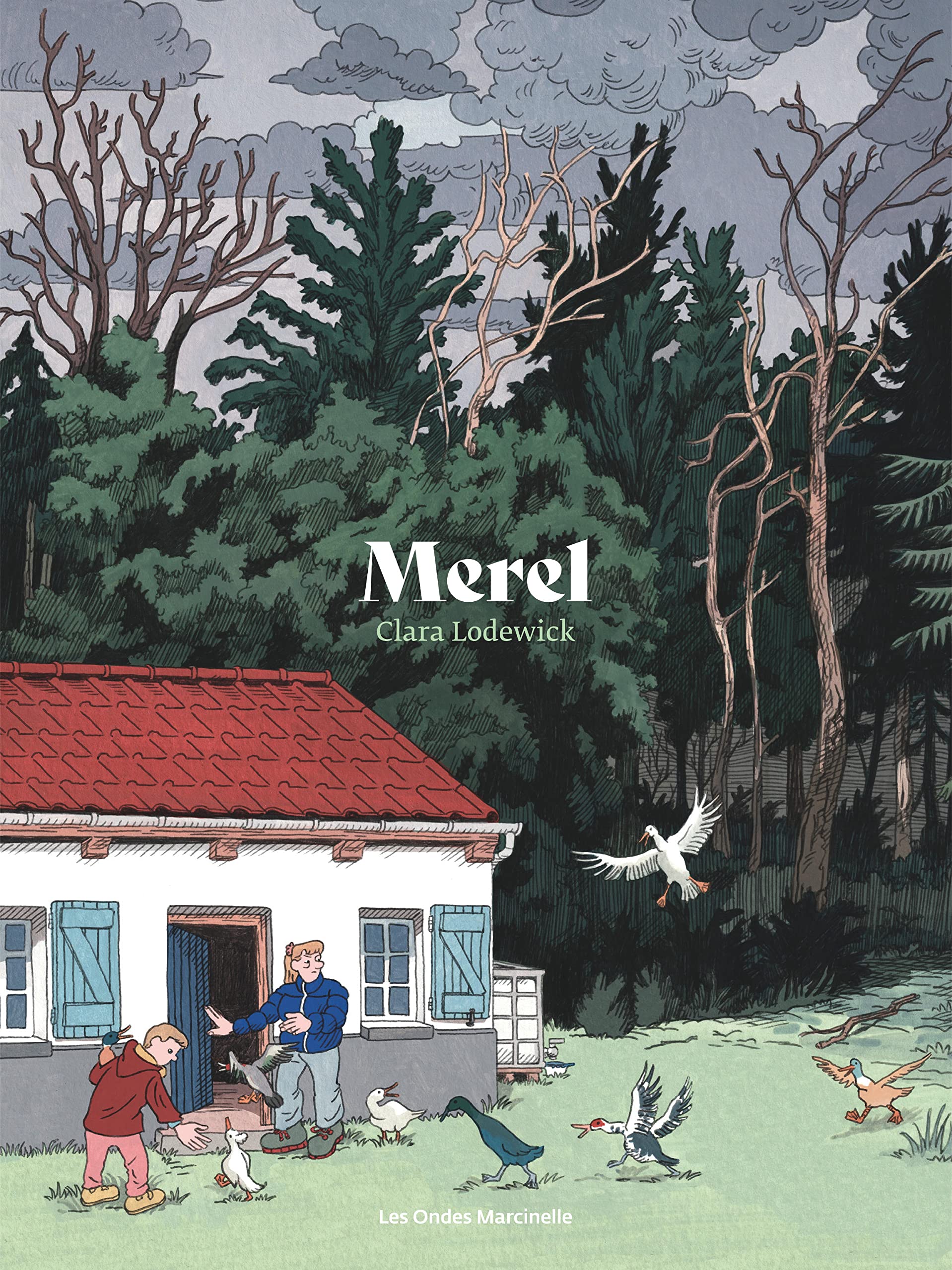 Merel (Kindle Edition)
