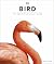Bird: The Definitive Visual...