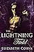 The Lightning Field (Angel ...