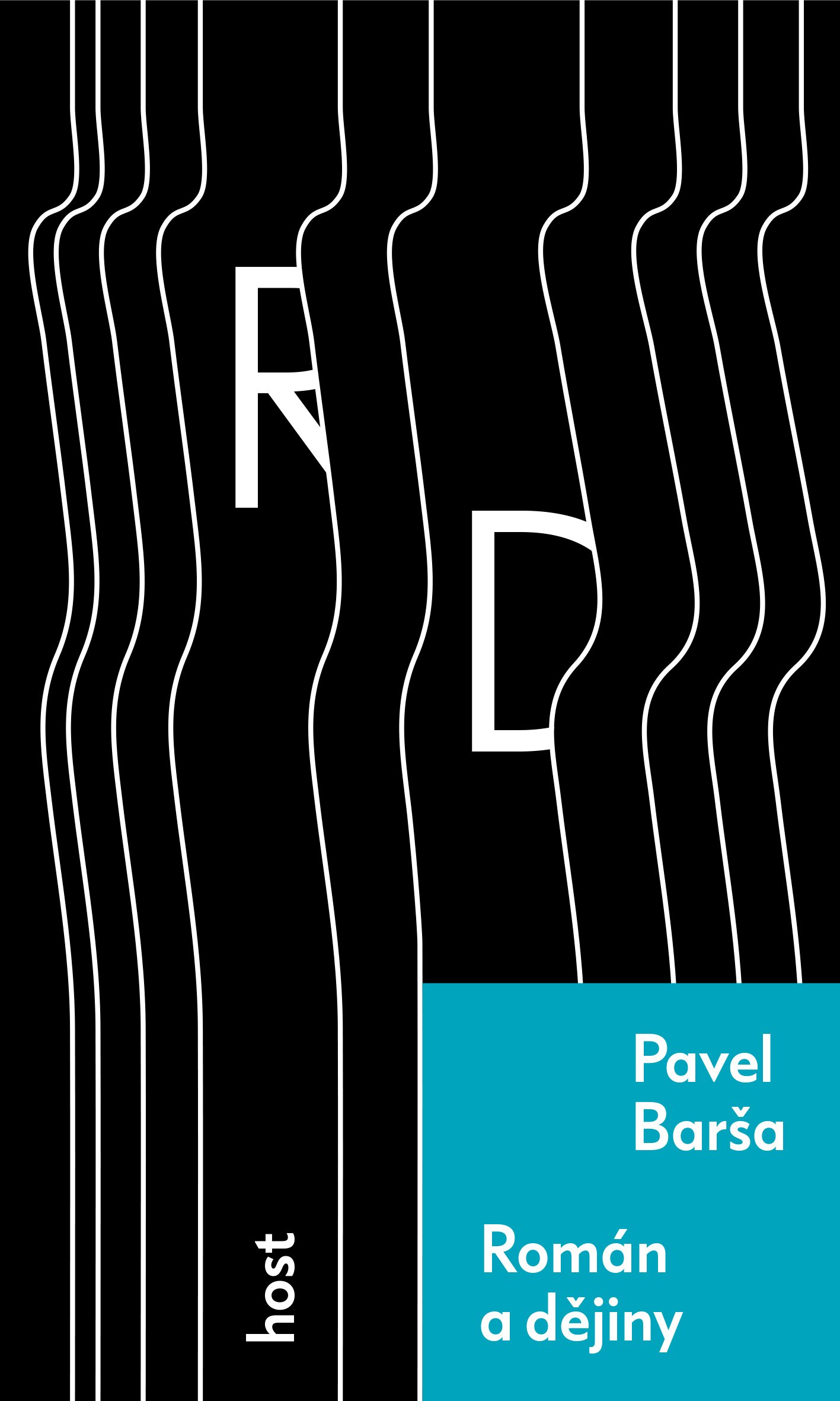 Román a dějiny (Paperback)