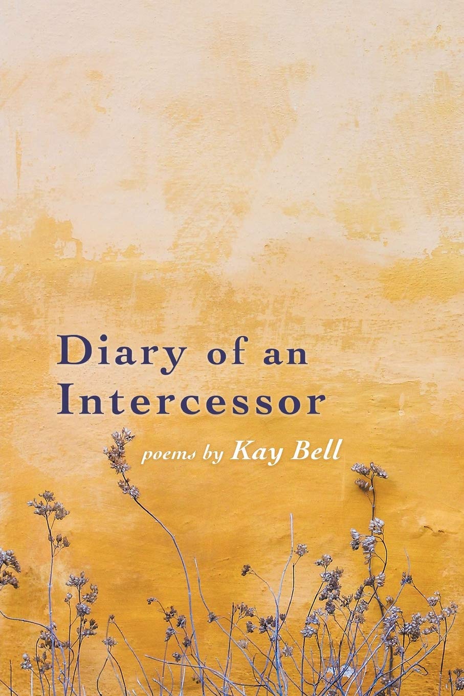 Diary of an Intercessor (Paperback)