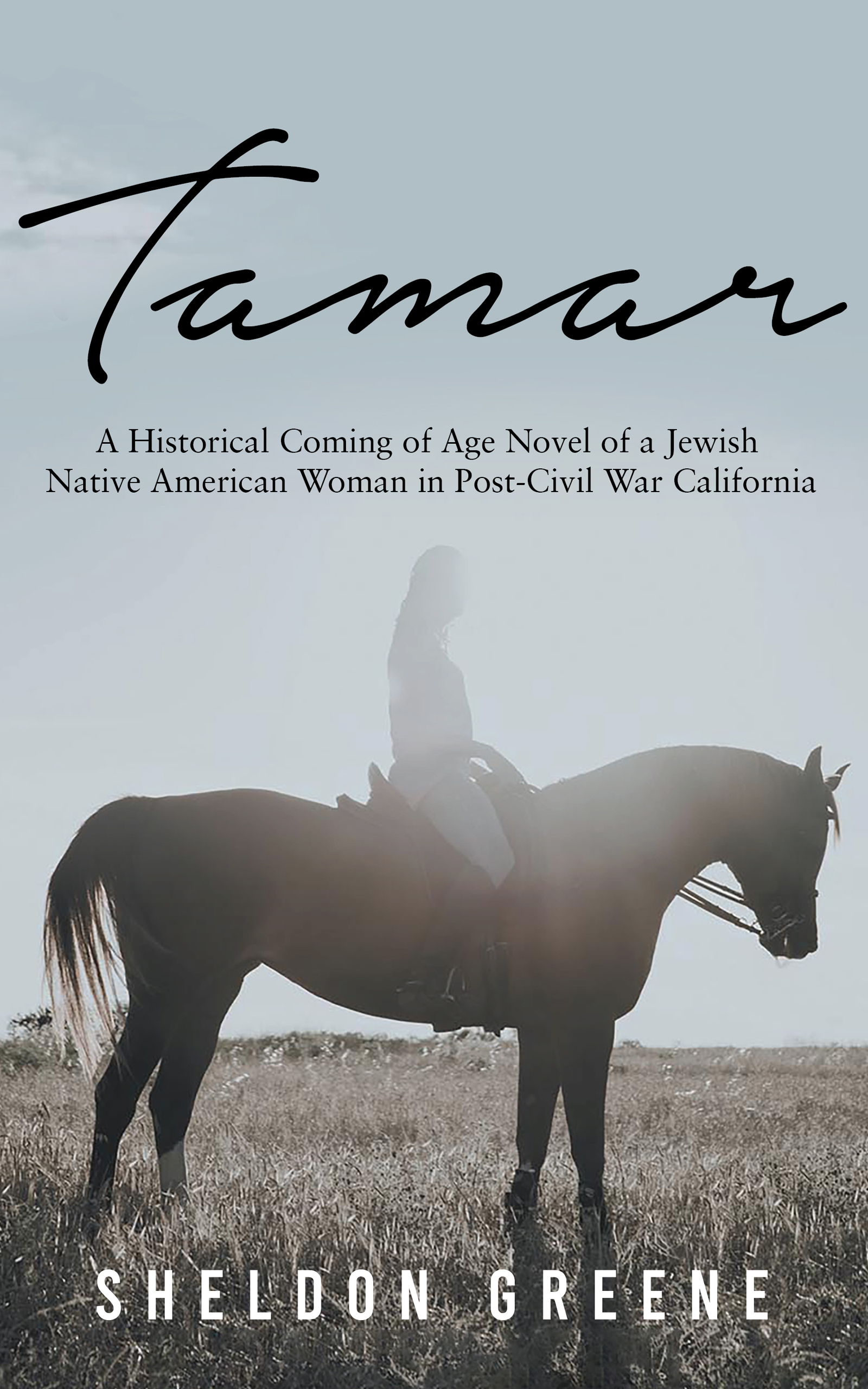 Tamar: A Historical Coming of Age Novel of a Jewish Native American Woman in Post-Civil War California