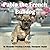 Pablo the French Bulldog by Alexander Prezioso