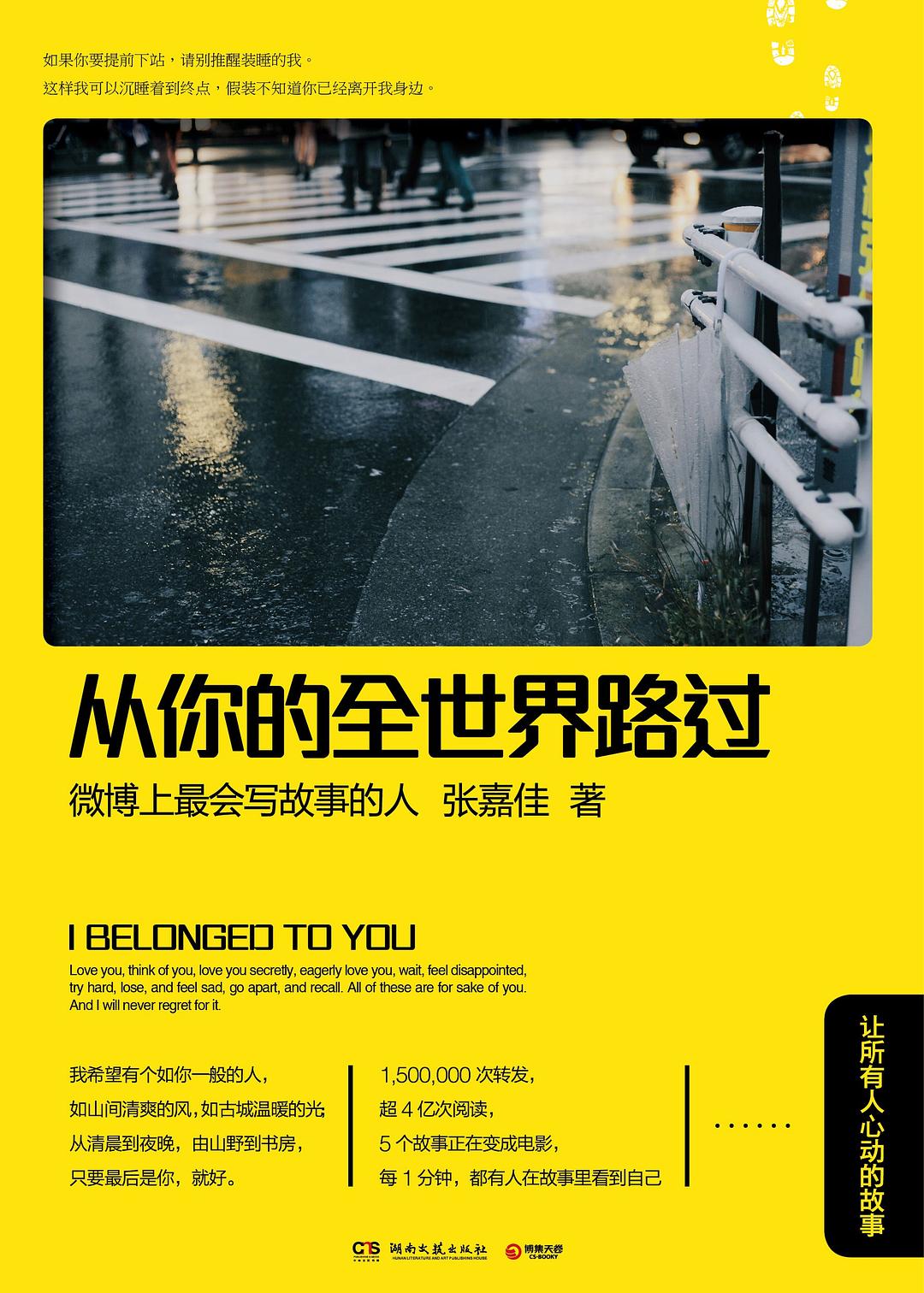 从你的全世界路过 (Paperback)