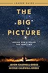 The Big Picture L...
