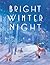 Bright Winter Night