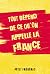 Tout Dépend De Ce Qu'on Appelle La France by Frederic Petit
