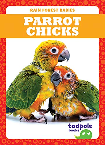 Parrot Chicks (Tadpole Books: Rain Forest Babies)