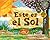 Esta Es El Sol