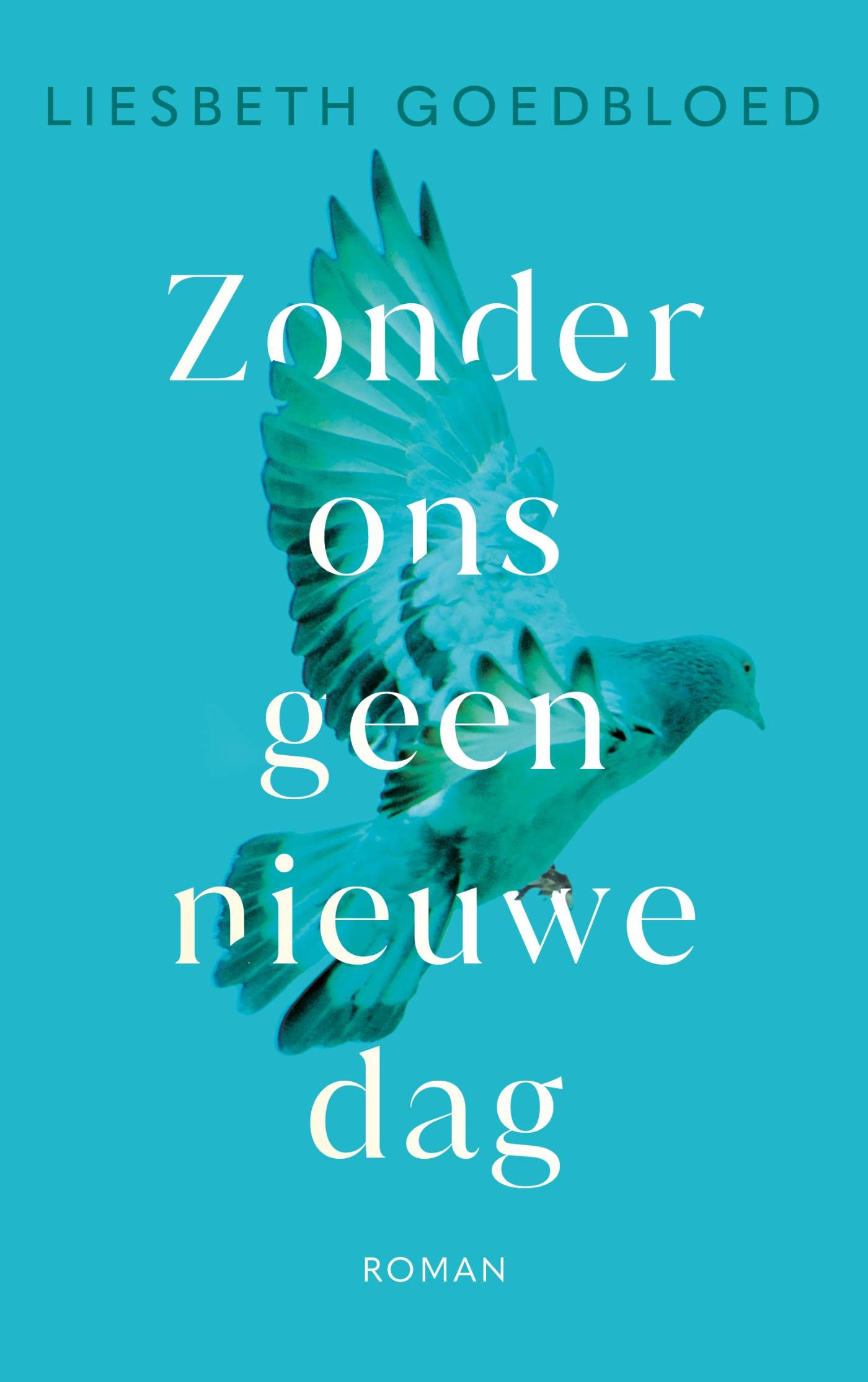 Zonder ons geen nieuwe dag (Kindle Edition)