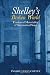 Shelley's Broken World: Fractured Materiality and Intermitted Song (Liverpool English Texts and Studies 2021)