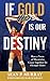 If Gold Is Our Destiny by Sean P.  Murray