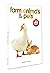 Farm Animals & Pets - Early Learning Board Book With Large Font : Big Board Books Series