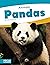 Pandas (ANIMALS (Set of 10))