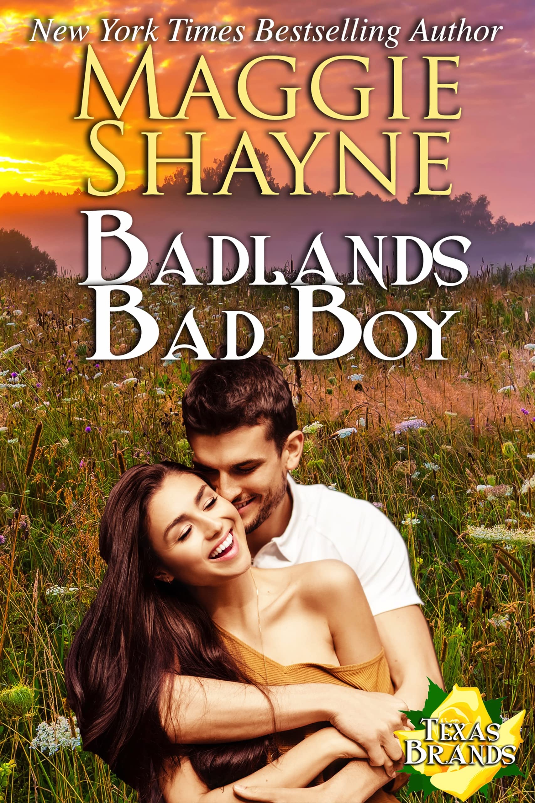 Badlands, Bad Boy (The Texas Brands Book 3)