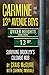 CARMINE AND THE 13th AVENUE BOYS: Surviving Brooklyn's Colombo Mob