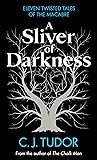 A Sliver of Darkness