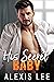 His Secret Baby (Babies and Alphalicious Daddies)