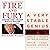 Fire and Fury By Michael Wo...