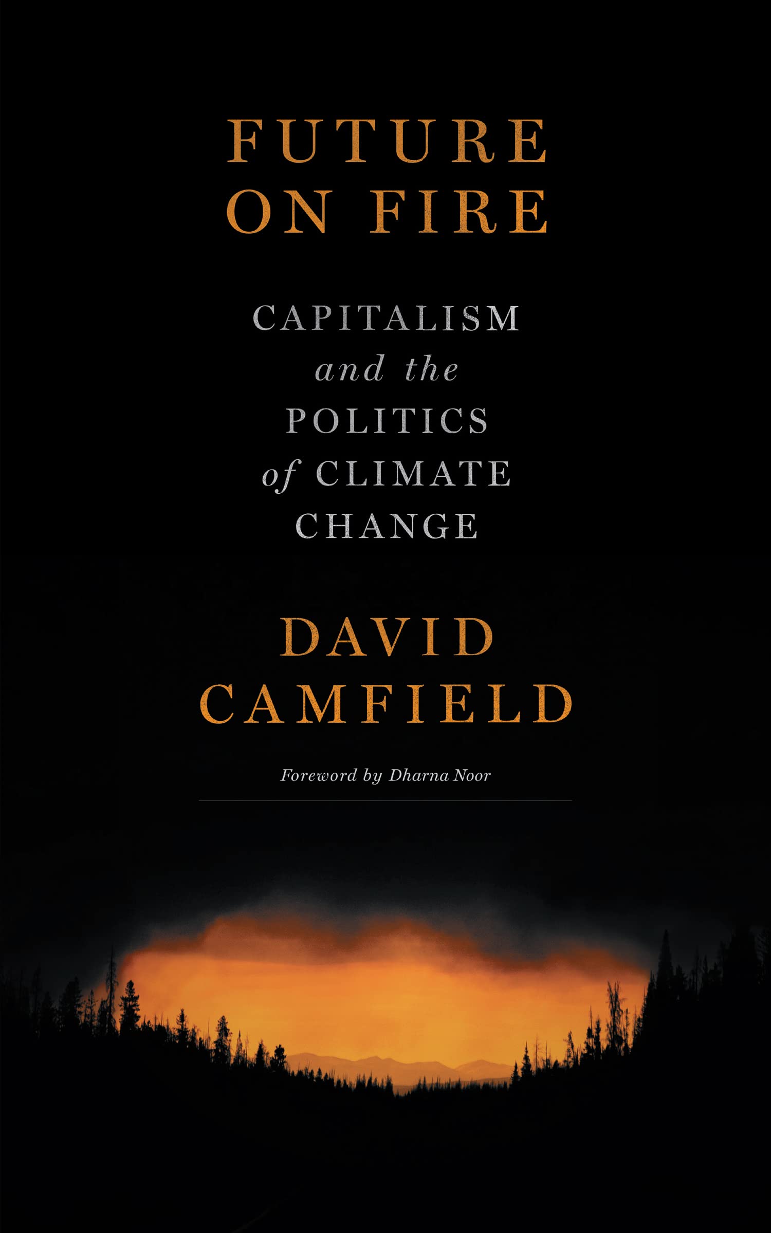 Future on Fire: Capitalism and the Politics of Climate Change (Kindle Edition)