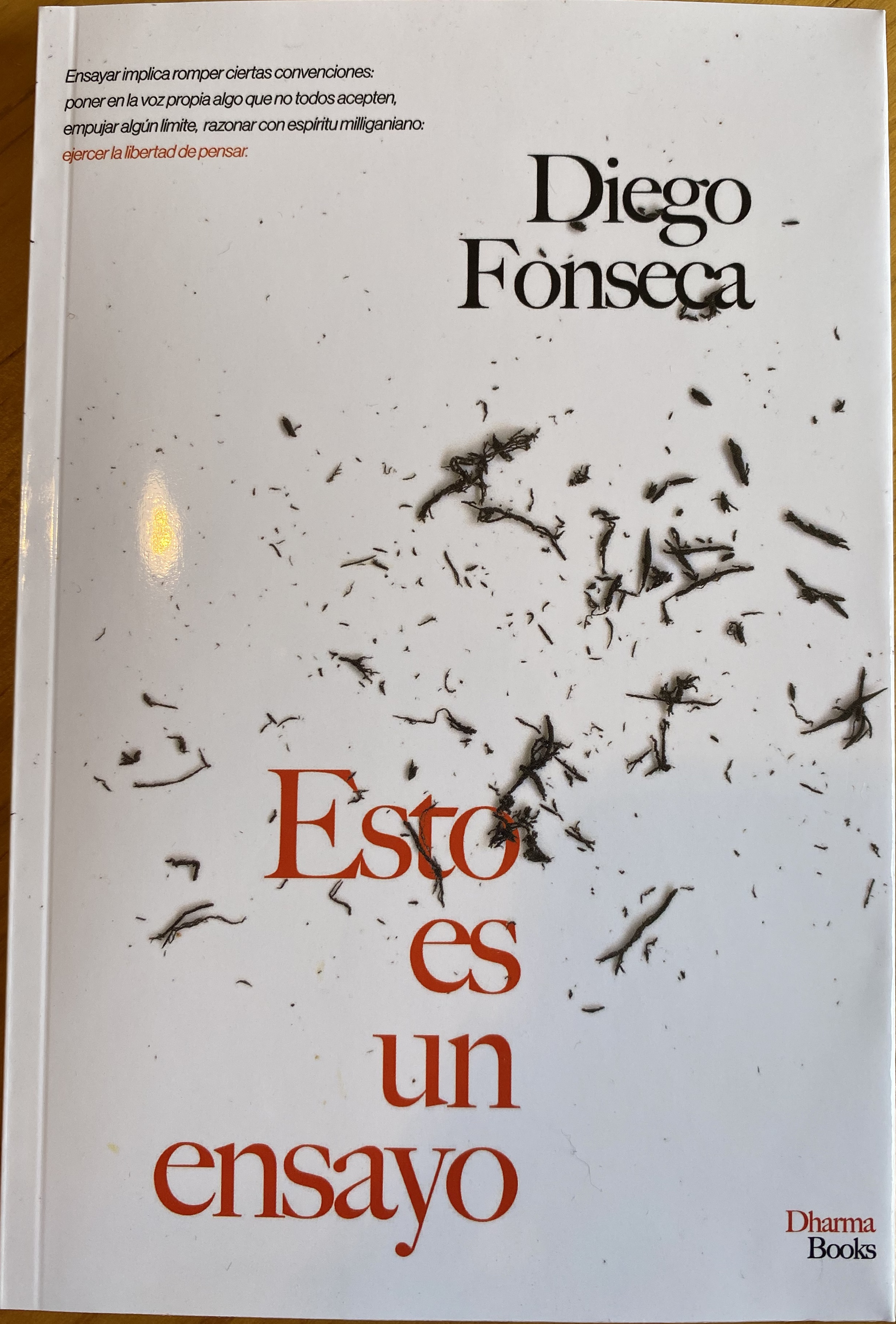 Esto es un ensayo