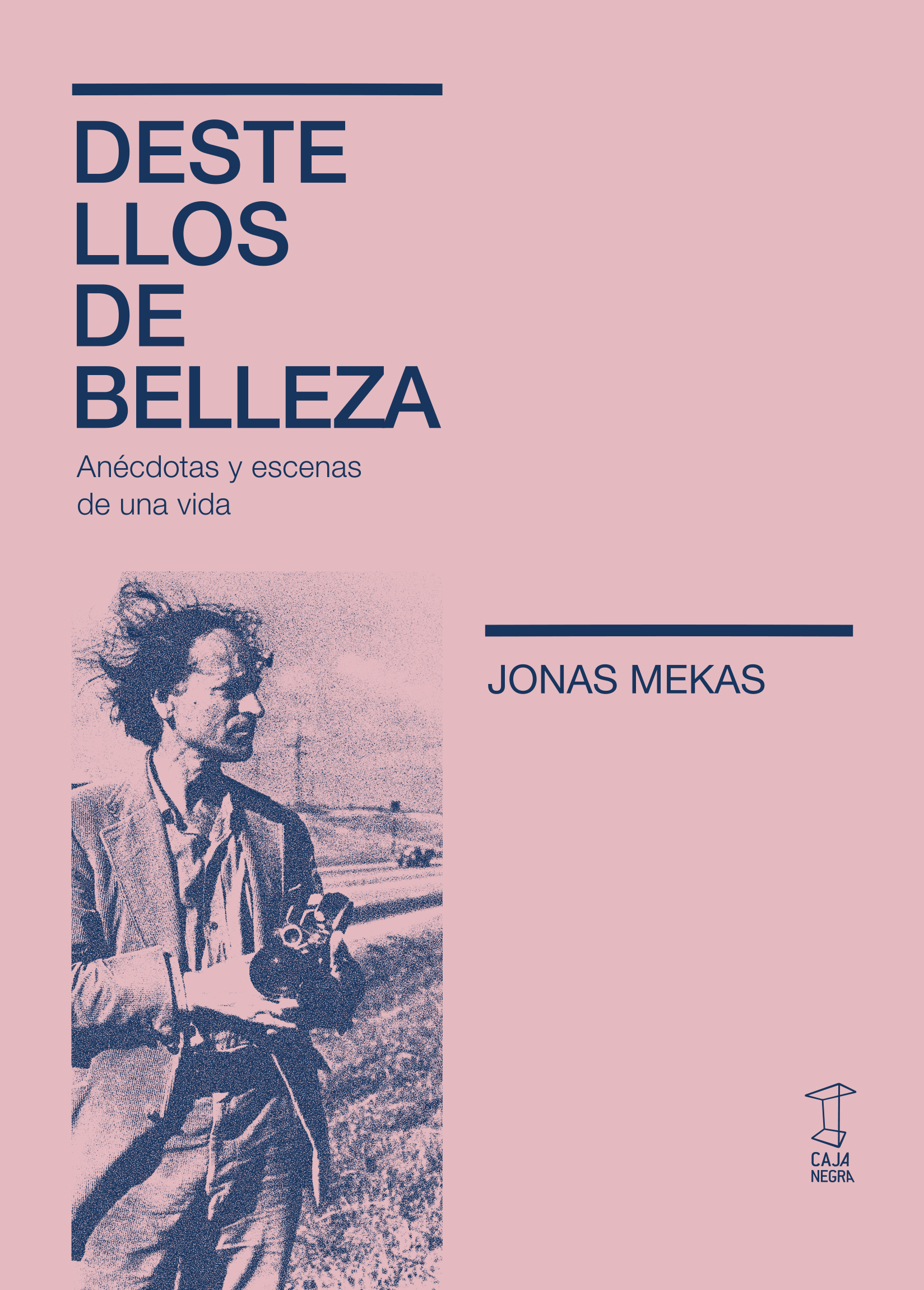 Destellos de belleza (Paperback)