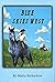 Blue Skies West (Appaloosy Books Horses in History, #5)