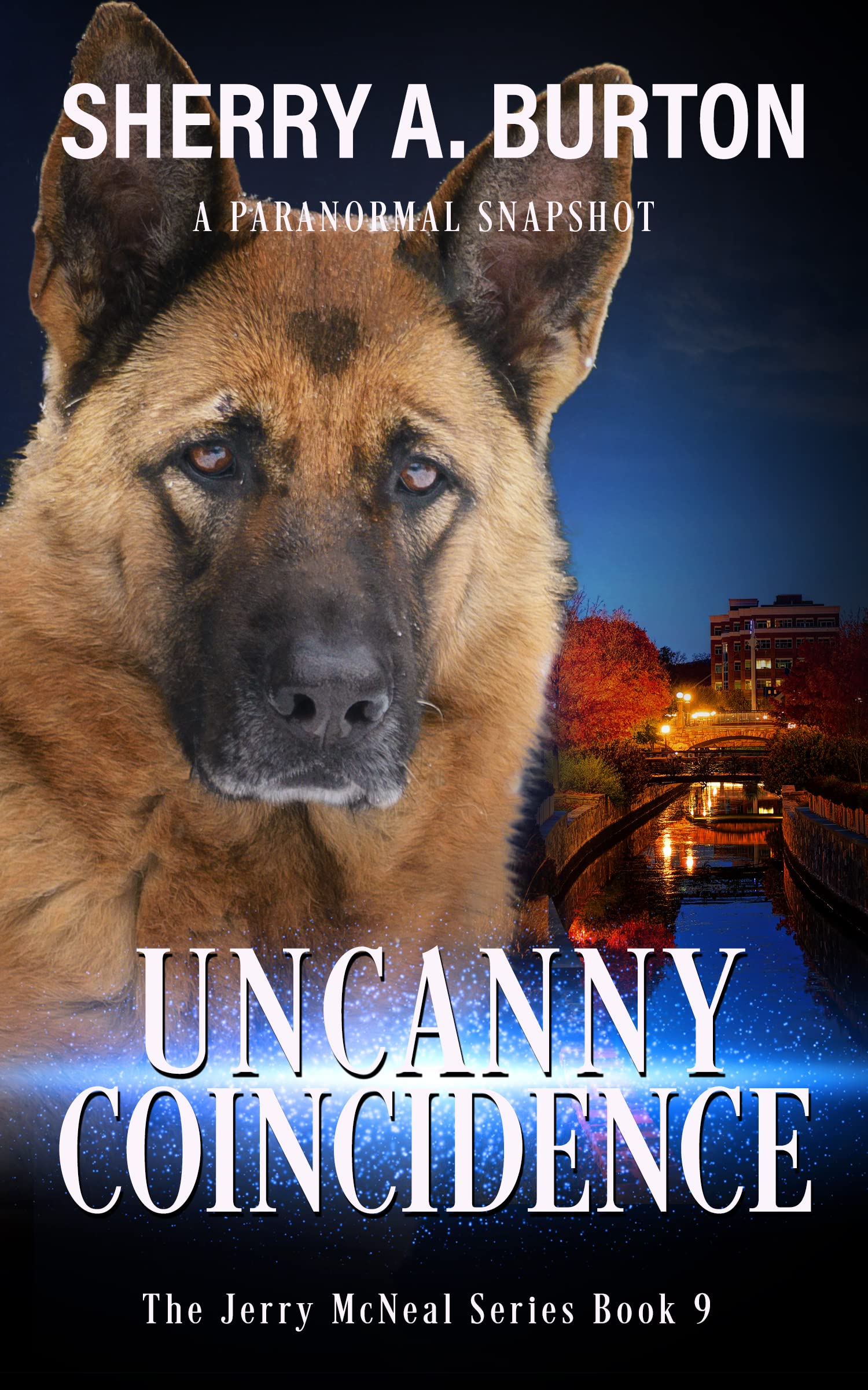 Uncanny Coincidence (Jerry McNeal, #9)