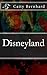 Disneyland by Caity Robyn Bernhard