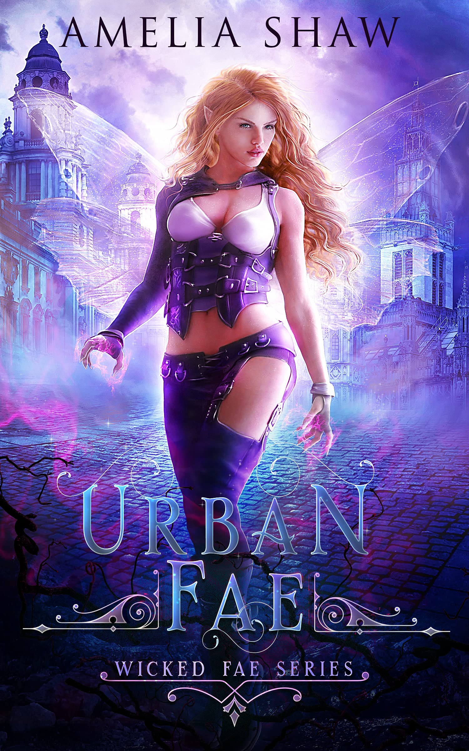 The Shifter's Stolen Fae (Wicked Fae #1)
