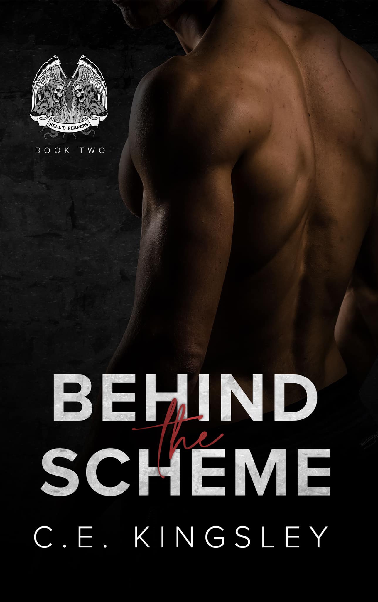 Behind the Scheme (Hell's Reapers MC, #2)