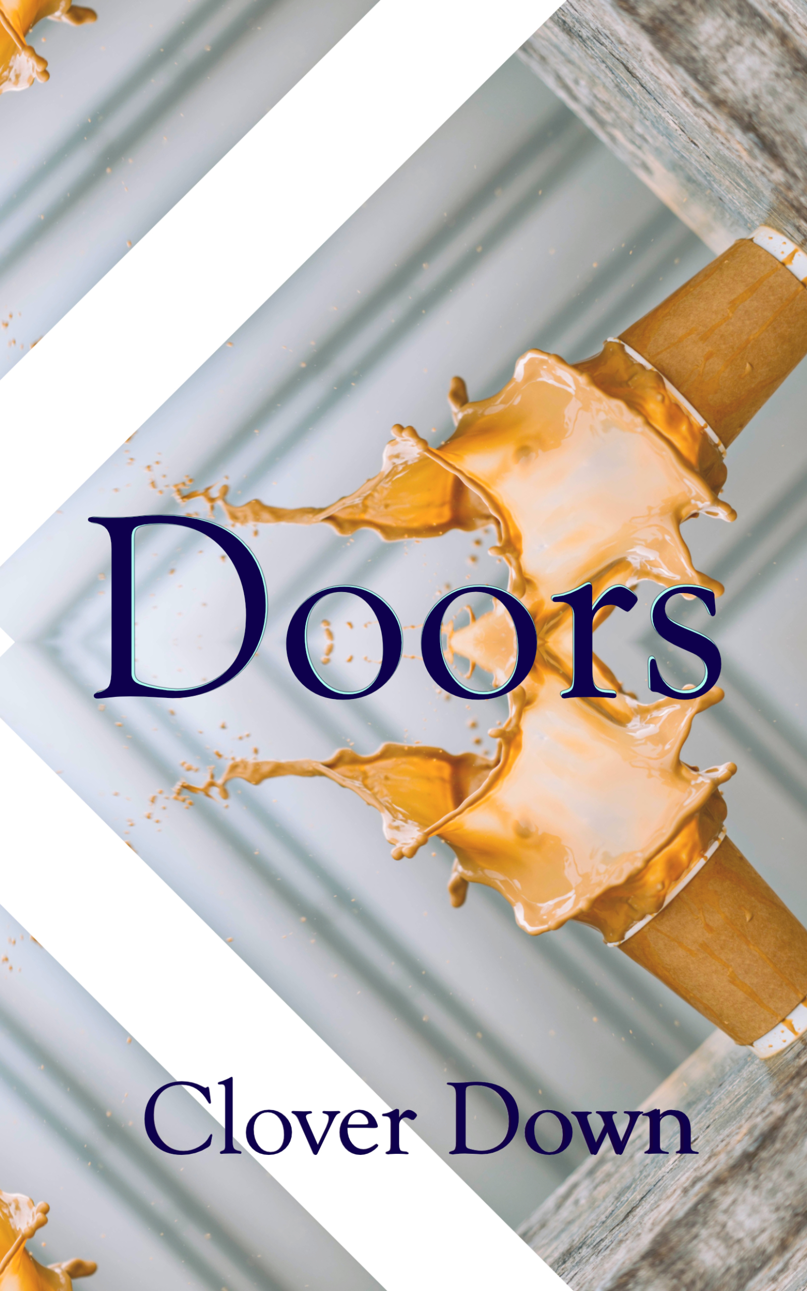 Doors (Kindle Edition)