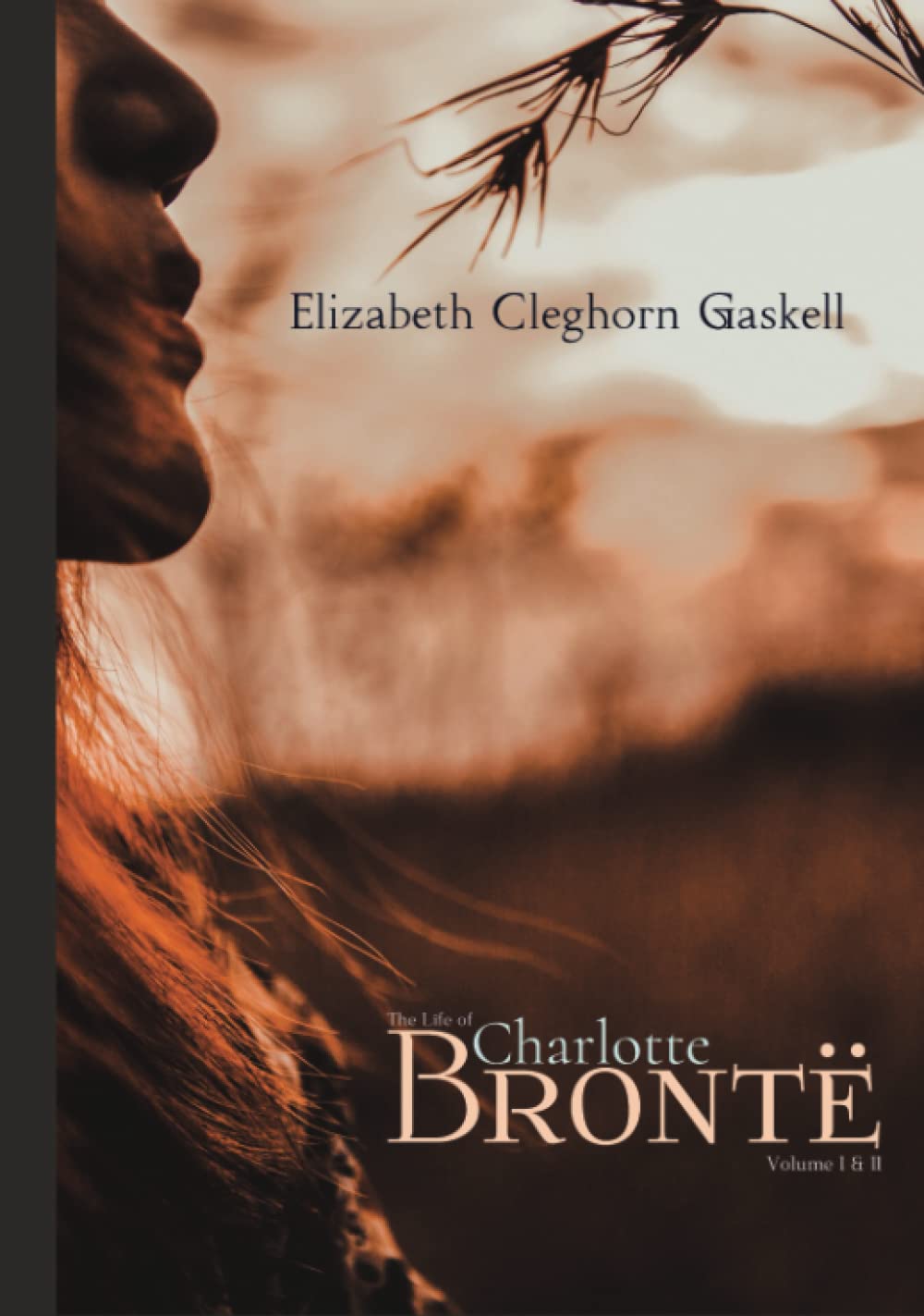The Life of Charlotte Brontë: Volume I & II, Complete