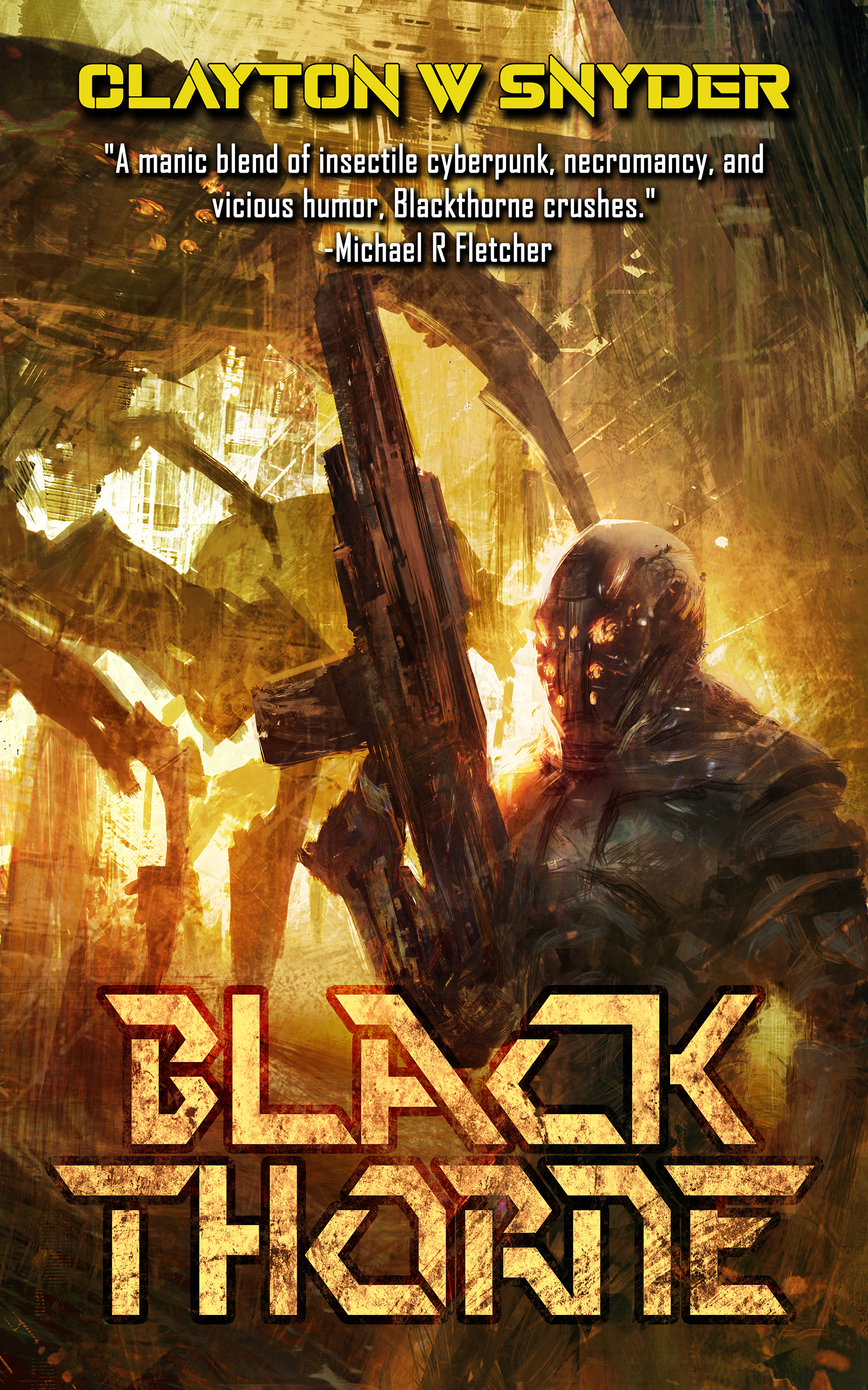 Blackthorne (Paperback)