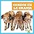 Cerdos en la granja (Pigs on the Farm) (Bullfrog Books Spanis... by Bizzy Harris