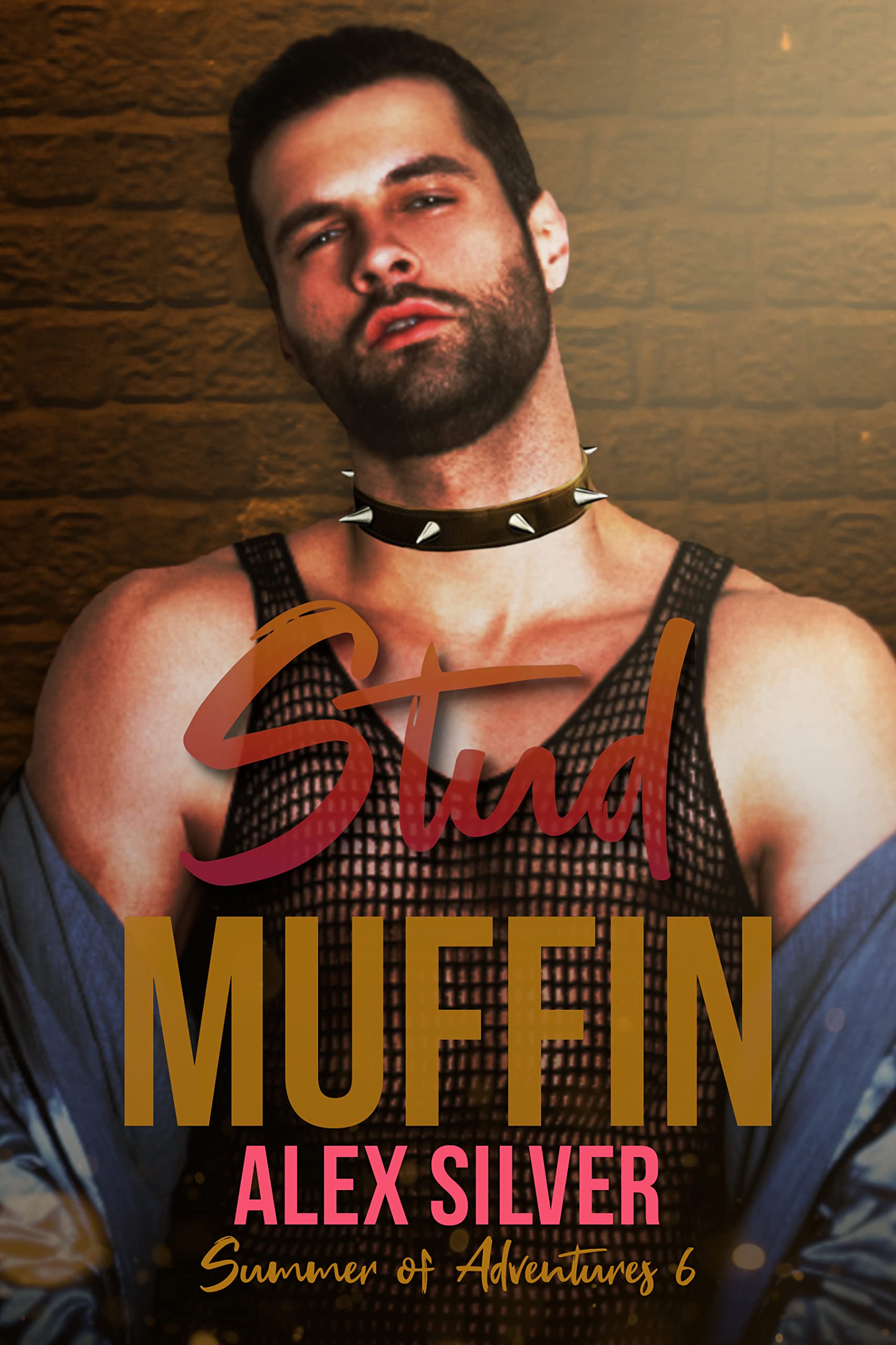Stud Muffin (Summer of Adventures #6)