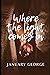 Where The Light Comes In by January George