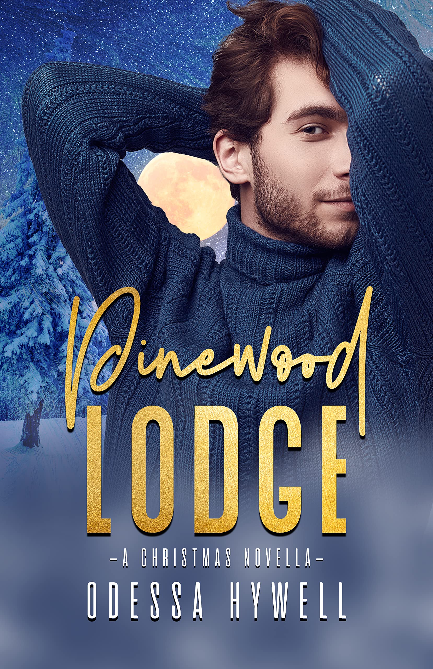 Pinewood Lodge (Kindle Edition)