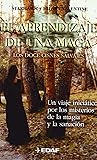 El aprendizaje de una maga. Los doce cisnes salvajes
