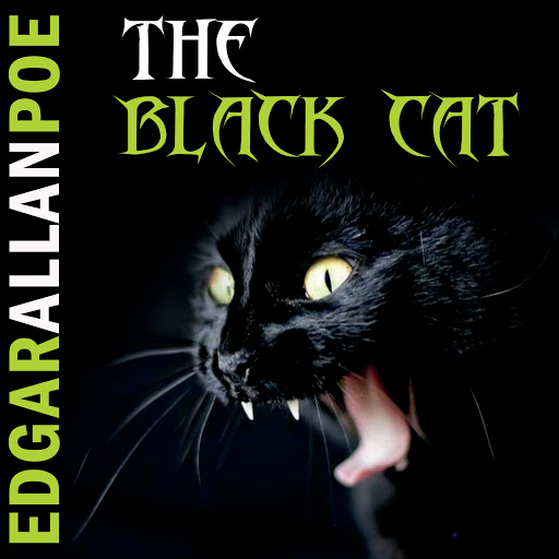 The Black Cat