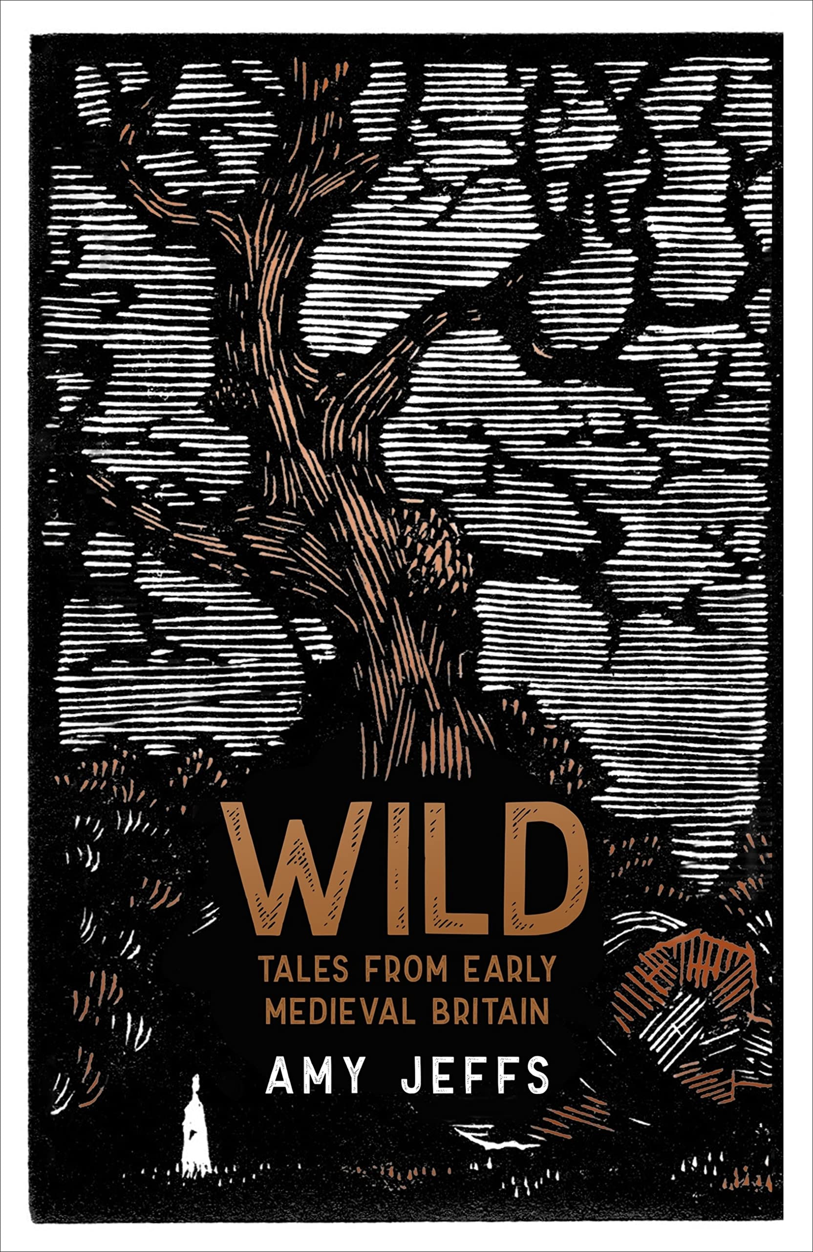 Wild: Tales from Early Medieval Britain (Kindle Edition)