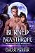 Burned by the Lycanthrope (...