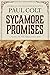 Sycamore Promises: A Novel of the Great Civil War