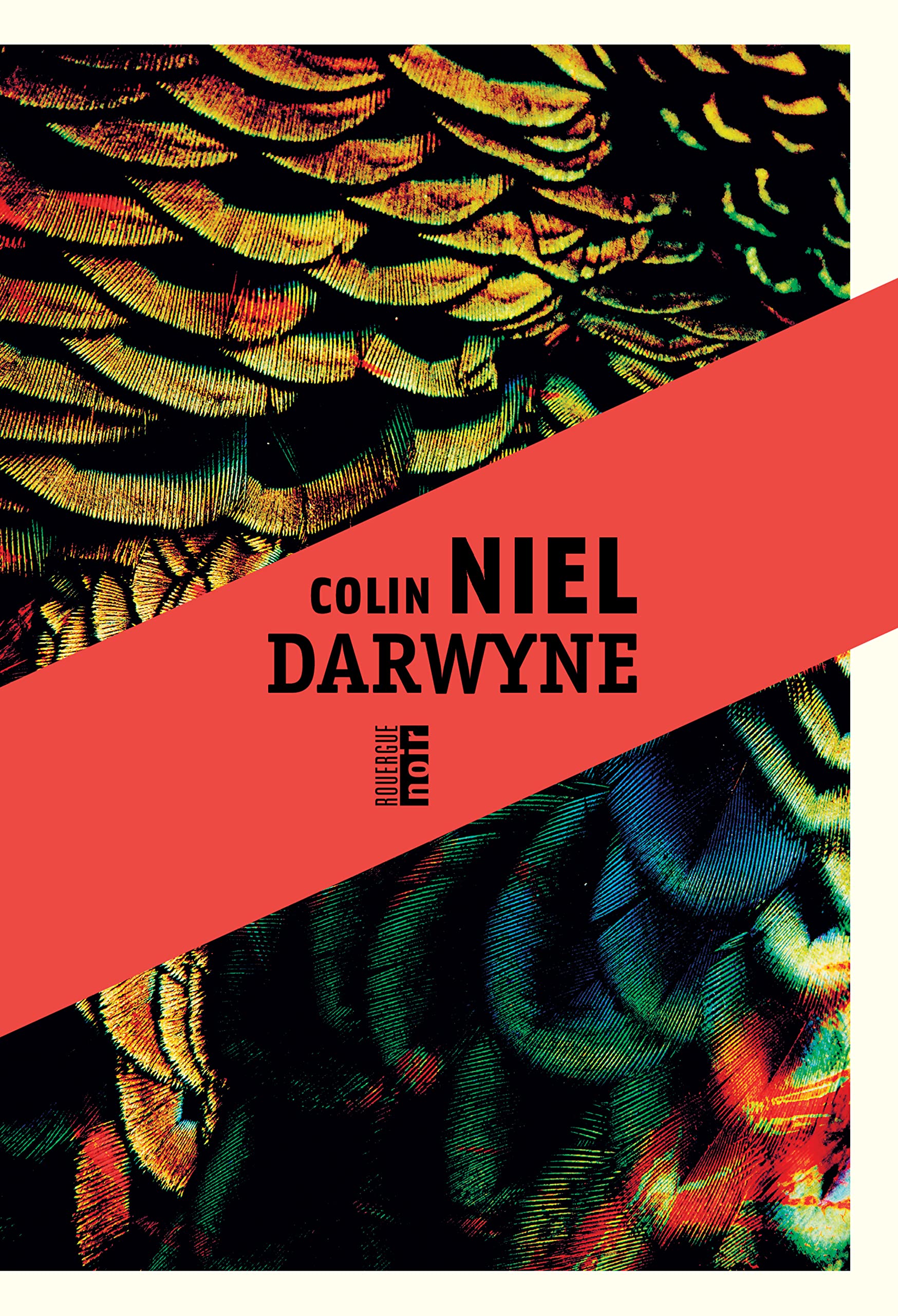 Darwyne (Kindle Edition)