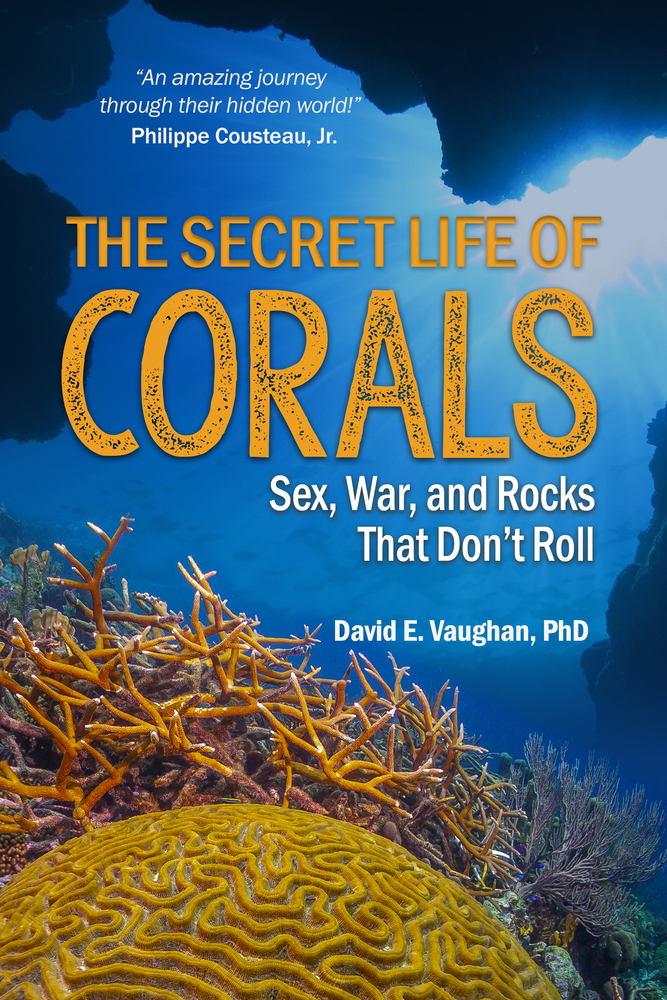 The Secret Life of Corals: Sex, War and Rocks that Don?t Roll