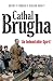 Cathal Brugha by Gerard Hanley