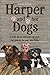 Harper and her Dogs: Introd...