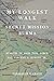 My Longest Walk by LinMarie Garsee